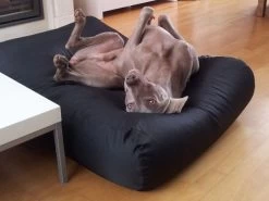 Hondenbed Zwart Vuilafstotende Coating Small